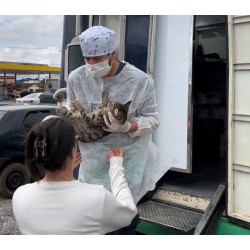 Programa Castra + Paraná chega a Campo Largo, Balsa Nova e Palmeira